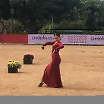 Geysotur Puerta De La Axerquia Parking Gratis Córdoba