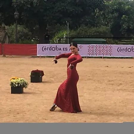 La Puerta De La Axerquia Parking Y Wifi Gratis Córdoba