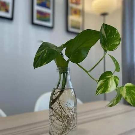 Apartamento La Puerta De La Axerquía Parking Y Wifi Gratis