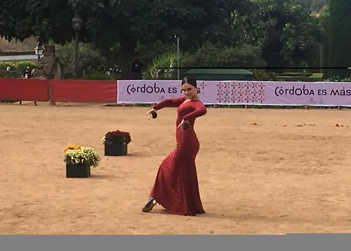 Geysotur Puerta De La Axerquia Parking Gratis 코르도바